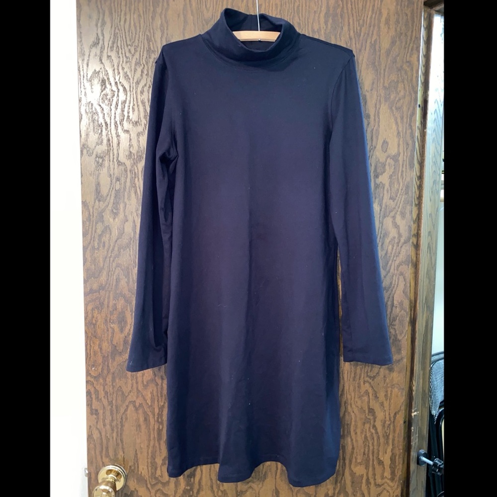 Like New Title Nine Dress